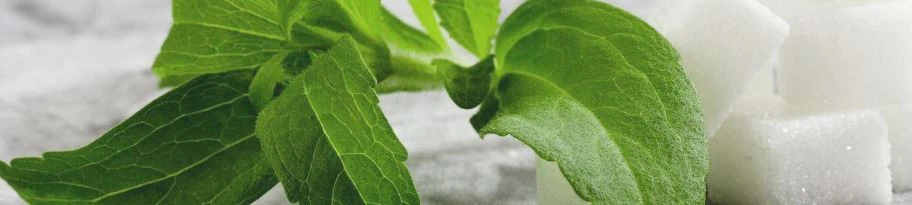 stevia extract